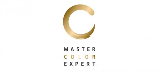 Master Color Experte Logo